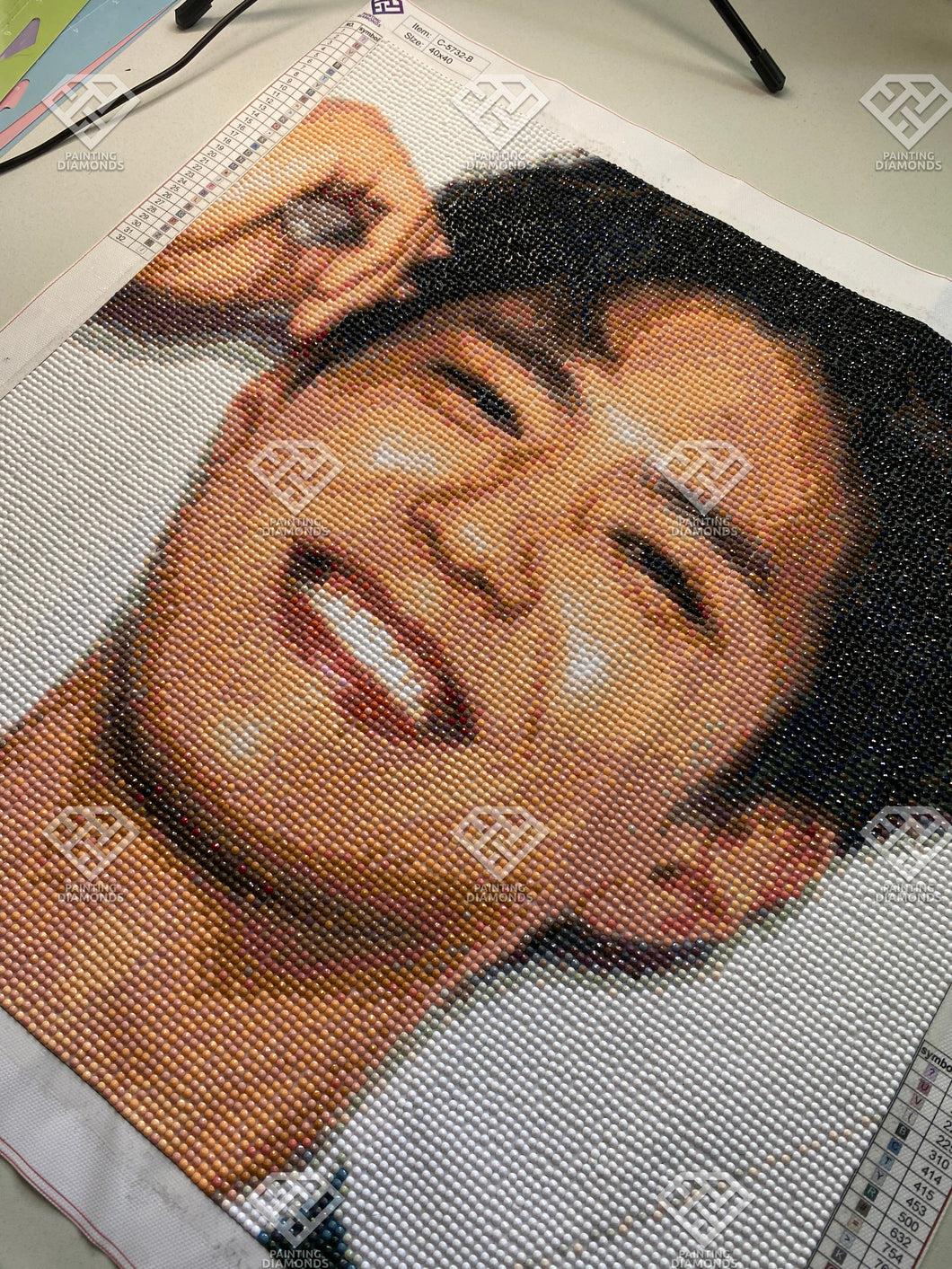 Customer submission of custom diamond paintings made by Painting Diamonds