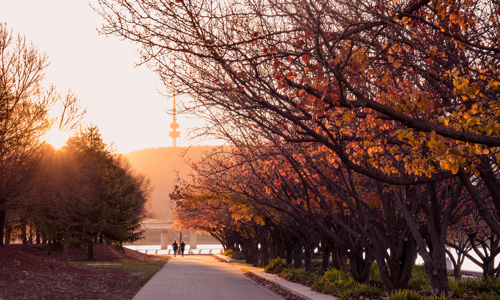 Autumn