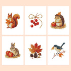 Autumn Woodland Friends six-pack mini diamond painting set with all designs