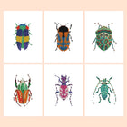 Colourful Beetles six-pack mini diamond painting set with all designs