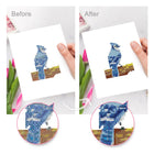 Before and after view of a Colourful Birds mini diamond painting design