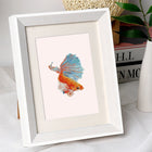 Colourful Tropical Fish mini diamond painting design displayed in a decorative room setting