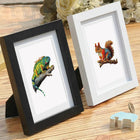 Completed Colourful Woodland Wildlife mini diamond painting shown as framed decor