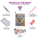Confidence diamond painting kit contents shown together