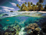 Coral Haven artwork shown as a completed diamond painting preview