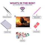 Lion Majesty diamond painting kit contents shown together