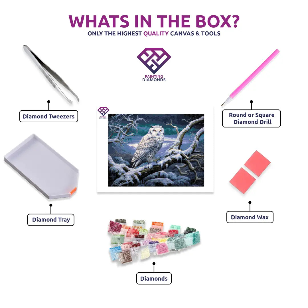 Moonlit Owl diamond painting kit contents shown together