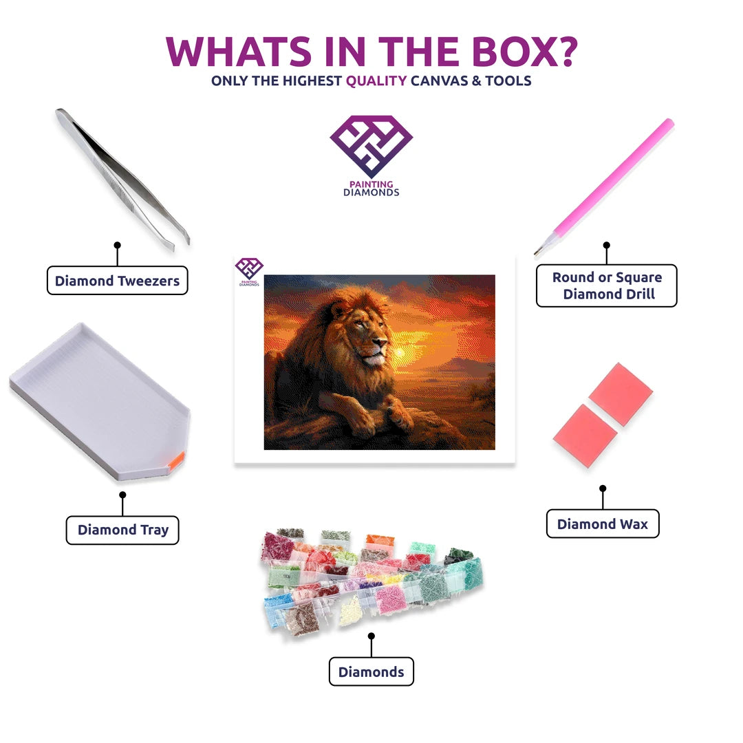 Serene Savannah diamond painting kit contents shown together