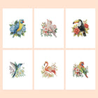 Tropical Birds & Blooms six-pack mini diamond painting set with all designs