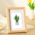 Completed Tropical Houseplants mini diamond painting shown as framed decor
