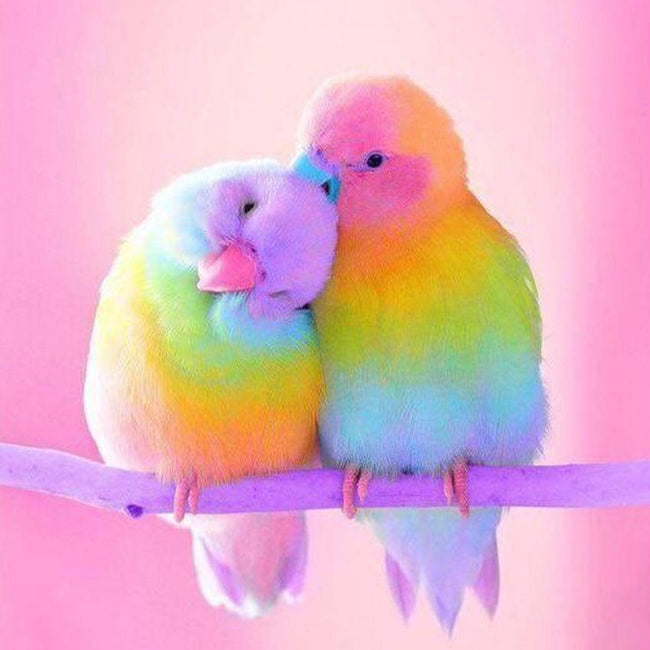 Rainbow Love Birds - 5D Diamond Painting Kit
