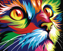 Colourful Kitten - 5D Diamond Painting kit