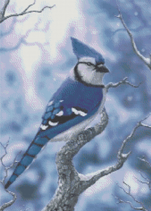 Snow-Kissed Blue Jay - 5D Diamond Painting Kit