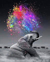 Rainbow Splash Elephant  - 5D Diamond Painting Kit