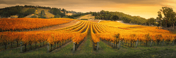 Autumn Winery Escape - 5D Diamond Painting Kit