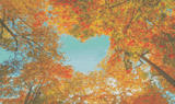 Autumn Love Canopy artwork shown as a completed diamond painting preview
