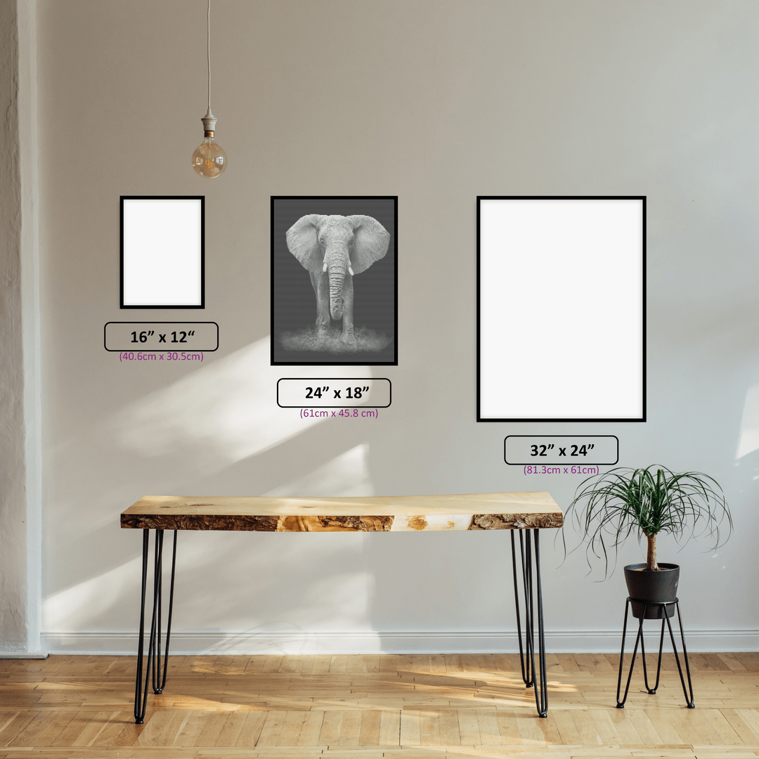 Black & White Elephant diamond painting displayed in a room setting