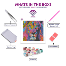 Colourful Lion - 5D Diamond Painting kit