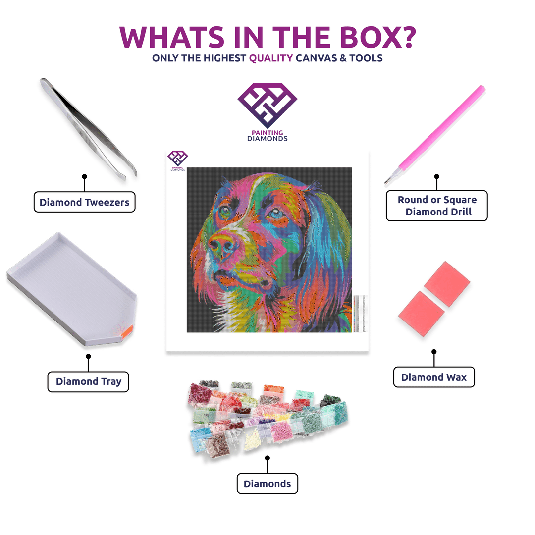 Colourful Dog diamond painting kit contents shown together