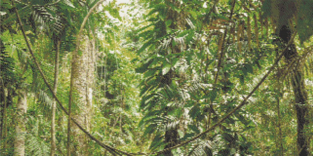 Daintree Enchantment artwork shown as a completed diamond painting preview