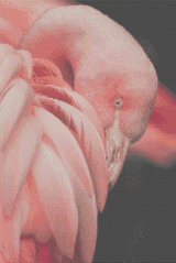 Dance the Flamingo artwork shown as a completed diamond painting preview