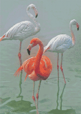 Flamingo Trio artwork shown as a completed diamond painting preview