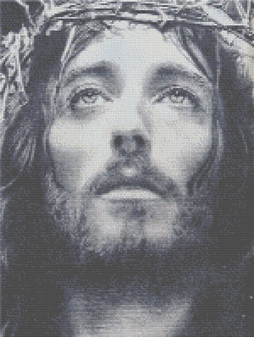 Crown of Thorns - 5D Diamond Painting Kit