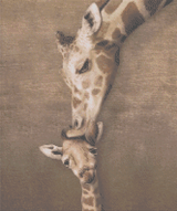 Love of the Giraffe artwork shown as a completed diamond painting preview