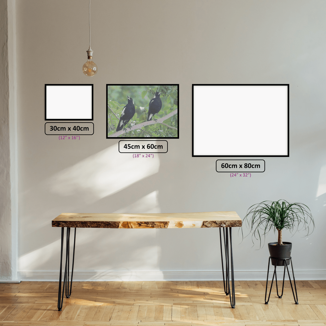 Magpie Duo diamond painting displayed in a room setting