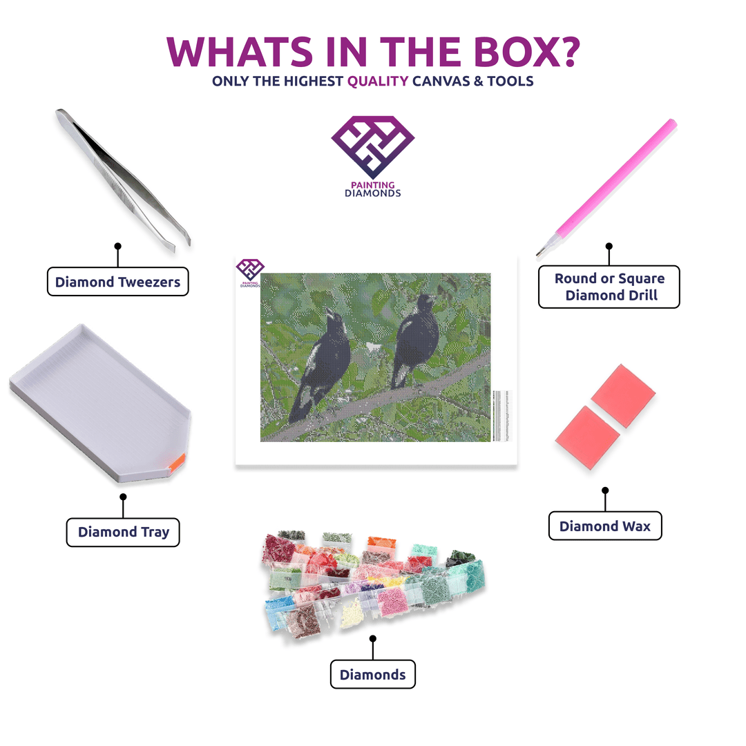 Magpie Duo diamond painting kit contents shown together