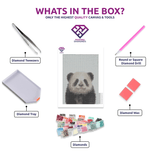 Panda diamond painting kit contents shown together