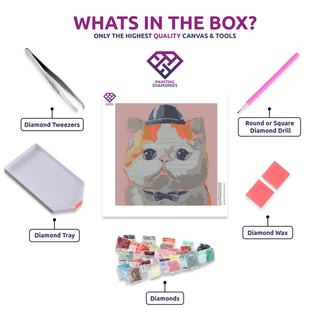 Gentleman Kitty - 5D Diamond Painting Kit