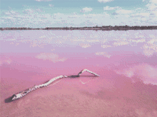 The Pink Lake - 5D Diamond Painting Kit