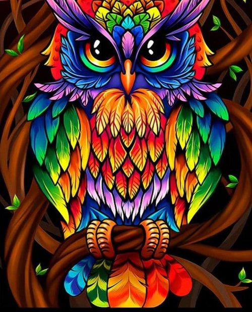 Colourful Owl - 5D Diamond Painting kit