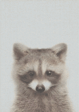 Raccoon artwork shown as a completed diamond painting preview