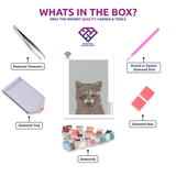 Raccoon diamond painting kit contents shown together