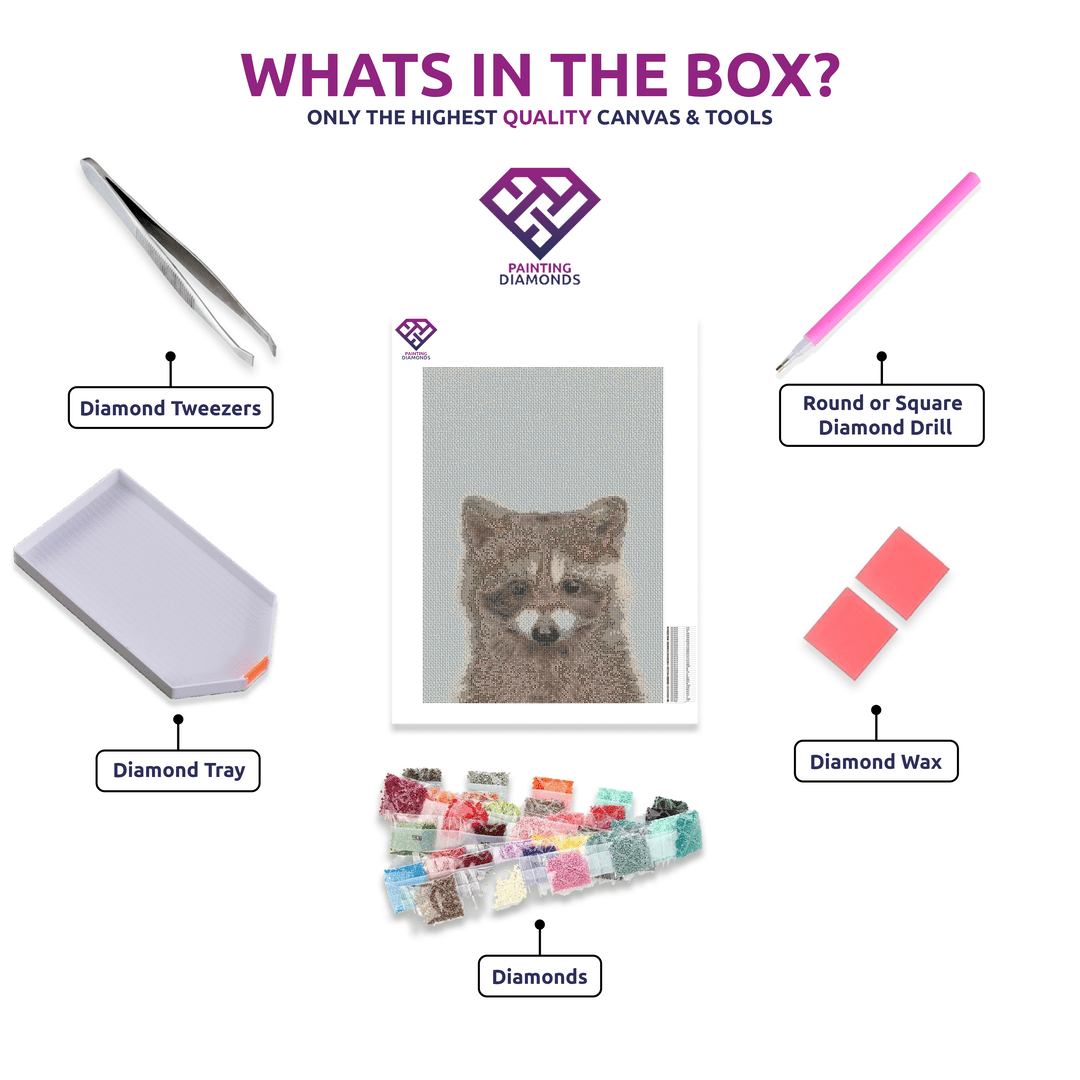 Raccoon diamond painting kit contents shown together