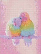 Rainbow Love Birds artwork shown as a completed diamond painting preview