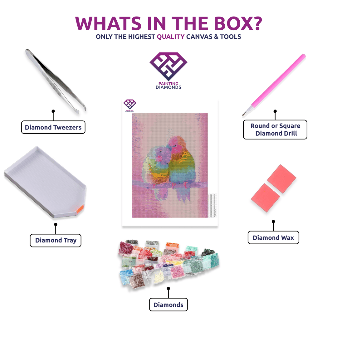 Rainbow Love Birds diamond painting kit contents shown together