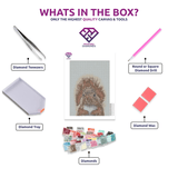 Squirrel diamond painting kit contents shown together