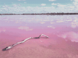The Pink Lake artwork shown as a completed diamond painting preview