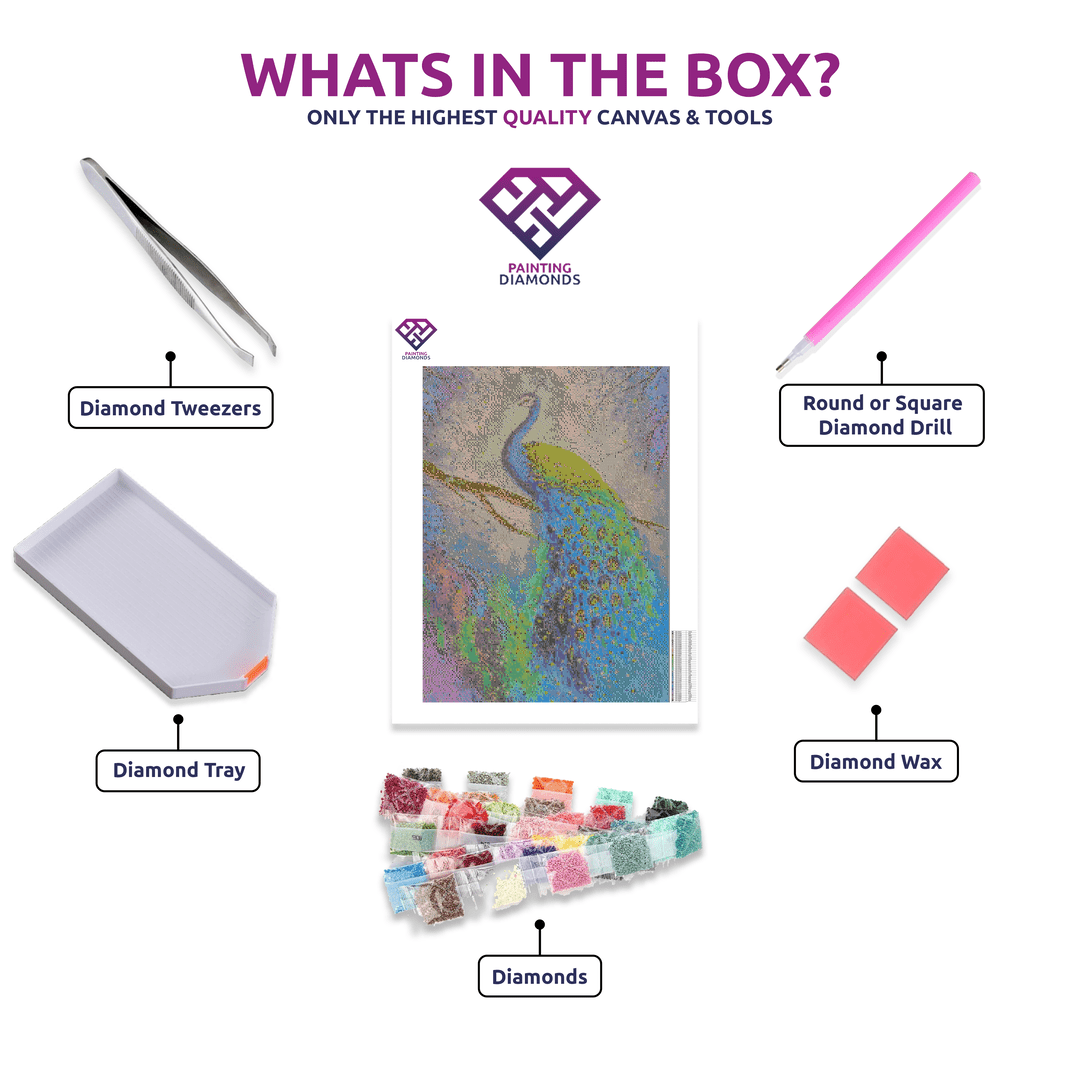 Vibrant Peacock Plumage diamond painting kit contents shown together